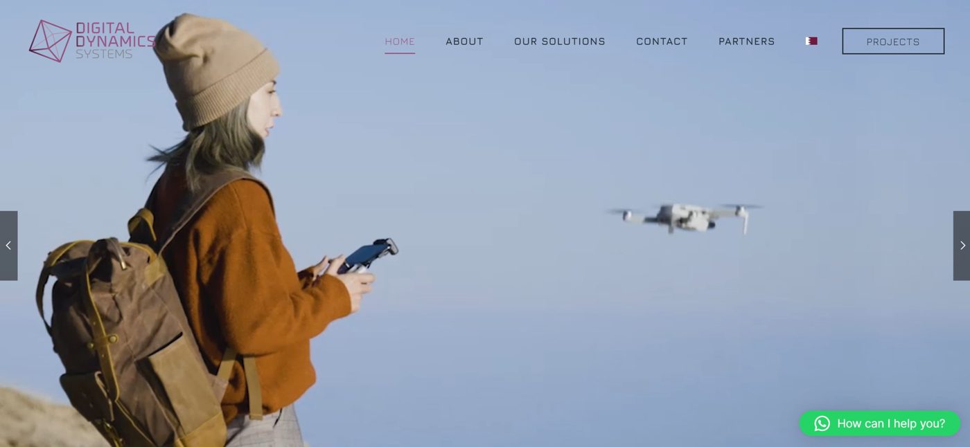 Digital Dynamics Systems website built by AVENiD