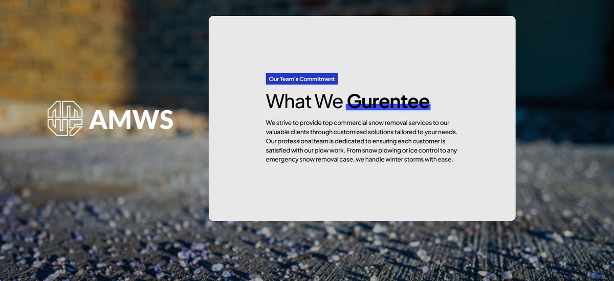 What We Guarantee — commitment section