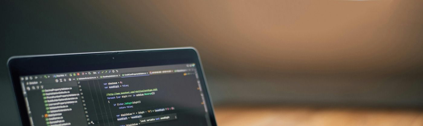 WordPress vs custom website comparison